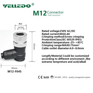 M12 Plug M12 Plug