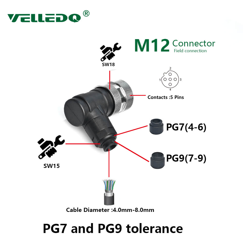 M12 5 Pin Female Connector M12 5 Pin Female Connector
