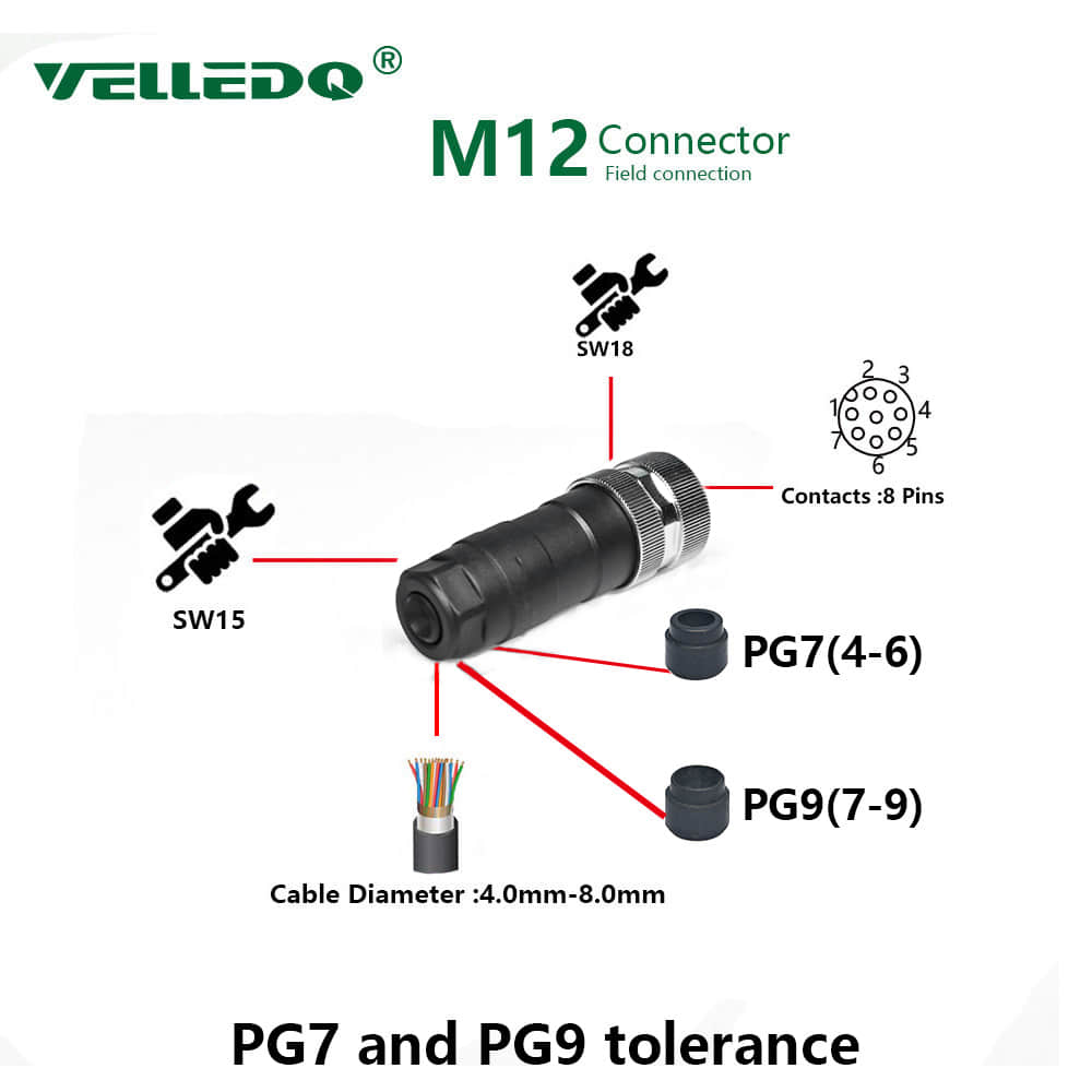 M12 8 Pin Female Connector M12 8 Pin Female Connector