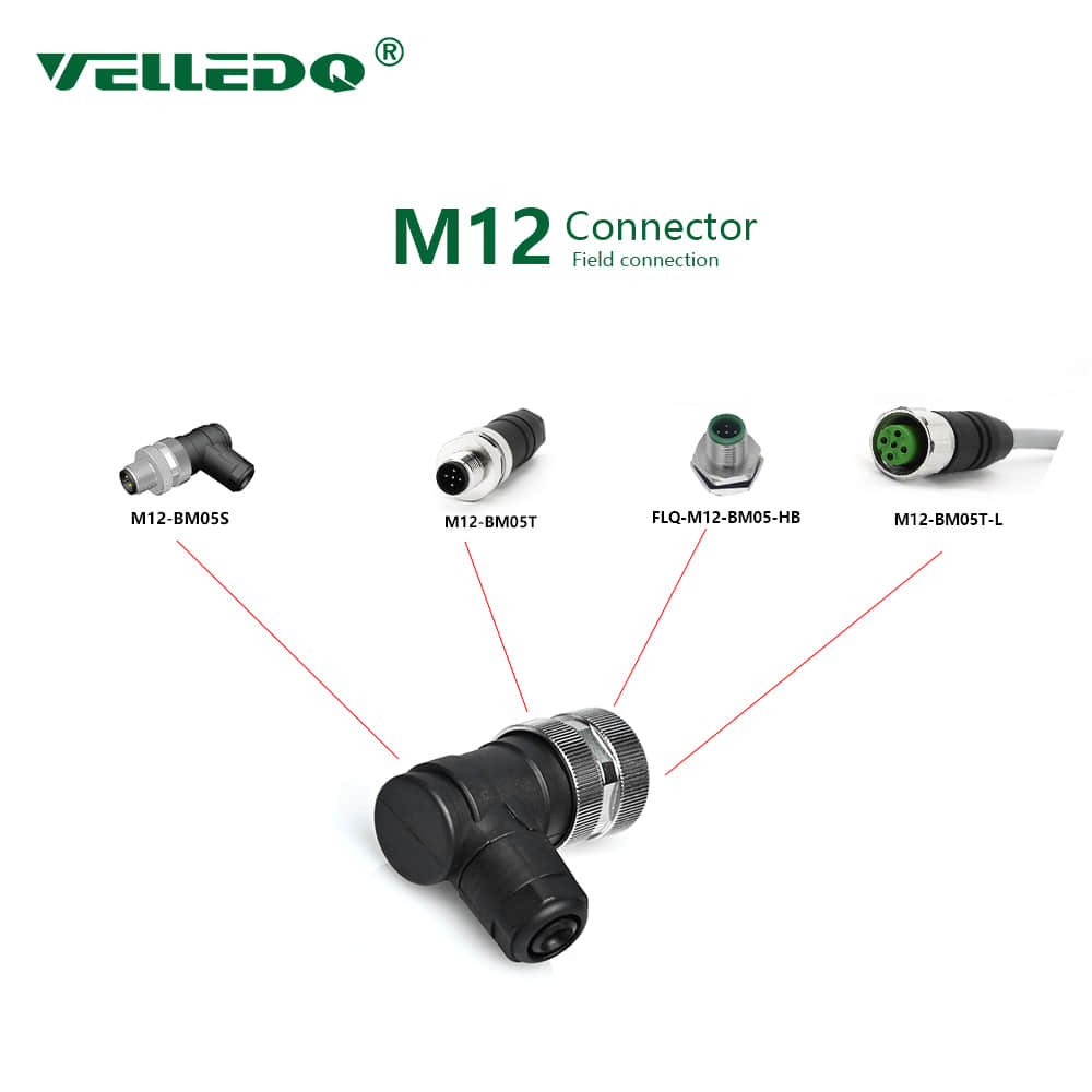 M12 5 Pin Female Connector M12 5 Pin Female Connector